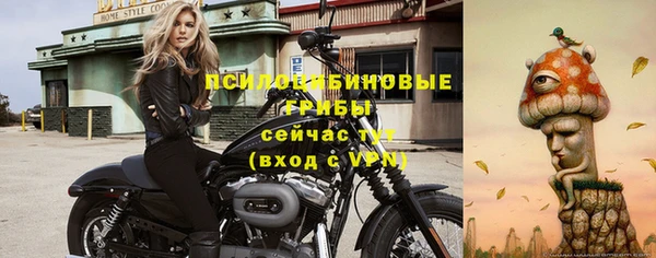 MESCALINE Новодвинск