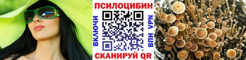 Псилоцибиновые грибы MAGIC MUSHROOMS  Фатеж 
